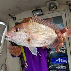 遊漁船　ニライカナイ 釣果
