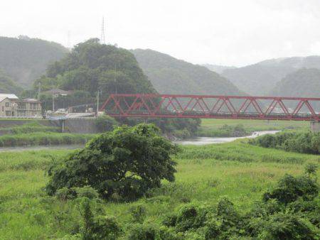 狩野川（狩野川漁業協同組合） 釣果