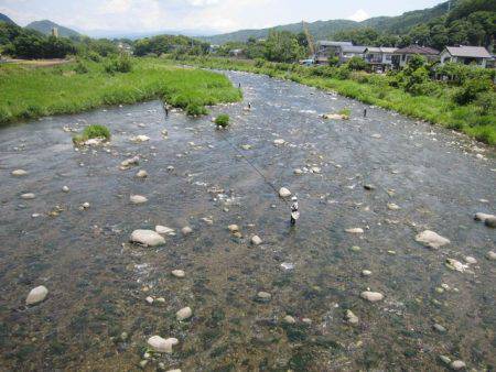 狩野川(狩野川漁業協同組合) 釣果