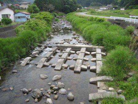 狩野川(狩野川漁業協同組合) 釣果