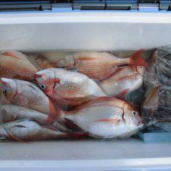 大進丸(新潟) 釣果