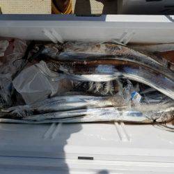 遊漁船 ニライカナイ 釣果