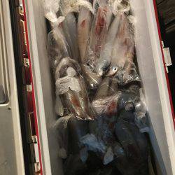 寿裕 （YOSHIHIRO） 釣果