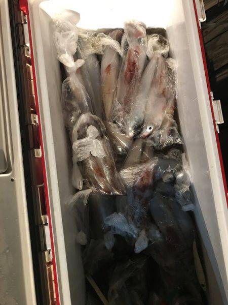 寿裕 （YOSHIHIRO） 釣果