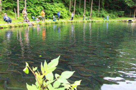 小菅トラウトガーデン 釣果