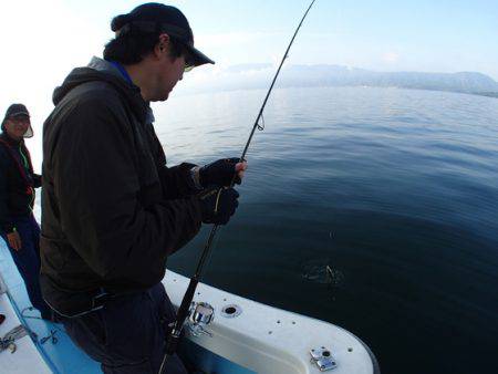 海晴丸 釣果