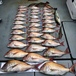 さんさん丸 釣果