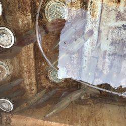 寿裕 （YOSHIHIRO） 釣果