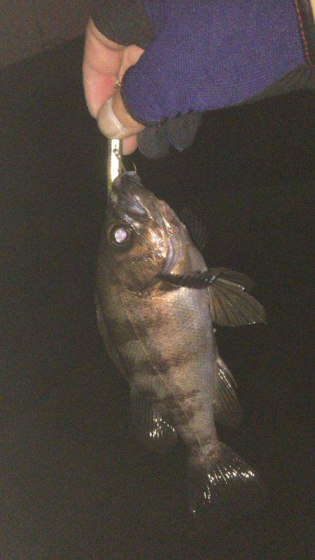 まだまだバチ抜け