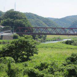 狩野川(狩野川漁業協同組合) 釣果