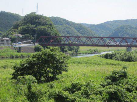 狩野川(狩野川漁業協同組合) 釣果