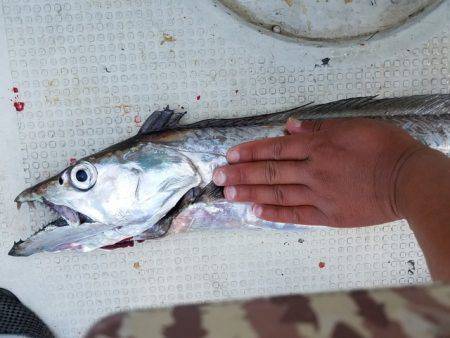遊漁船 ニライカナイ 釣果