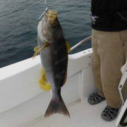 開進丸 釣果