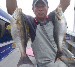 石川丸 釣果
