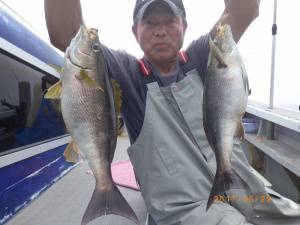 石川丸 釣果