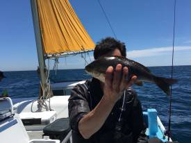 おざき丸 釣果