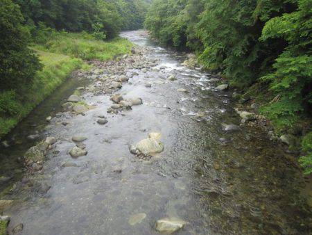 狩野川（狩野川漁業協同組合） 釣果