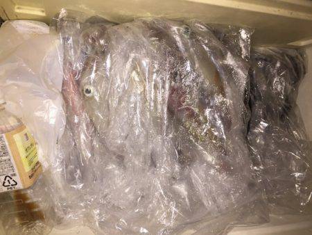 幸風（さちかぜ） 釣果