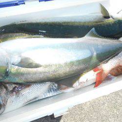 こうゆう丸 釣果