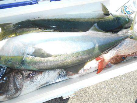 こうゆう丸 釣果