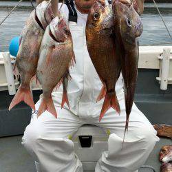 さんさん丸 釣果