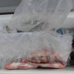 大進丸（新潟） 釣果