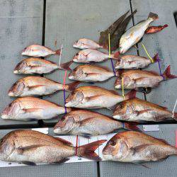 さんさん丸 釣果