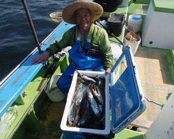 久里浜黒川本家 釣果