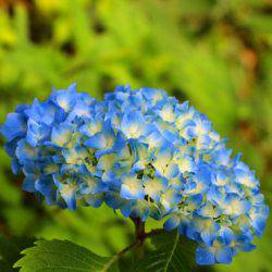 小菅トラウトガーデン 釣果