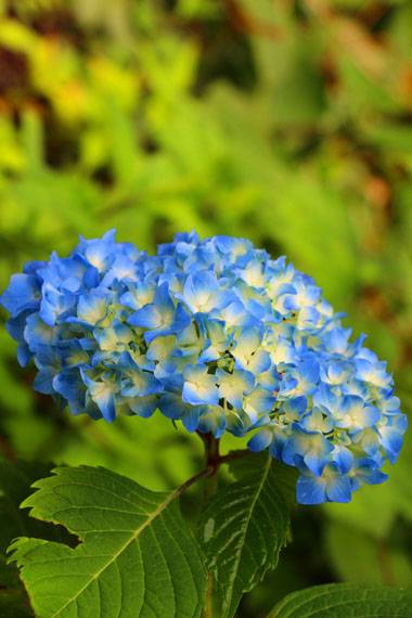 小菅トラウトガーデン 釣果