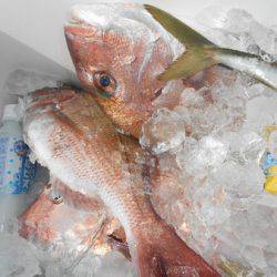 こうゆう丸 釣果