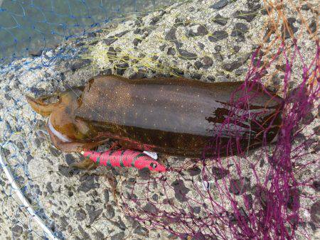 改造の成果！…？