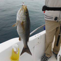 開進丸 釣果