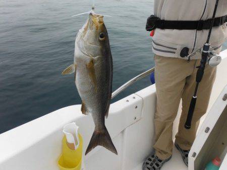 開進丸 釣果