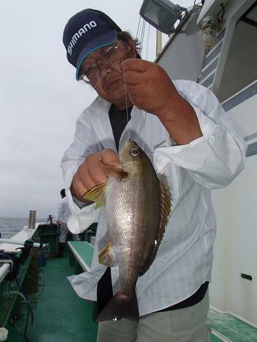 第二むつ漁丸 釣果