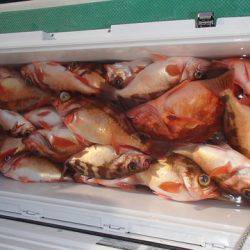 第二むつ漁丸 釣果