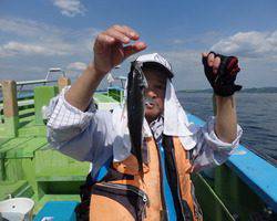 久里浜黒川本家 釣果