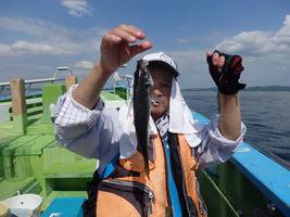 久里浜黒川本家 釣果