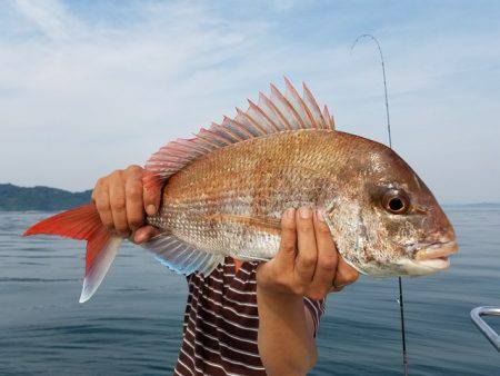 遊漁船　ニライカナイ 釣果
