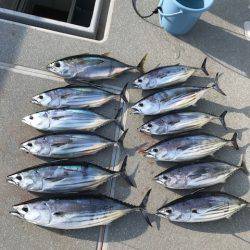 へいみつ丸 釣果