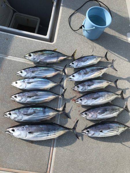 へいみつ丸 釣果