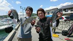 まこと渡船 釣果