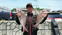 まこと渡船 釣果