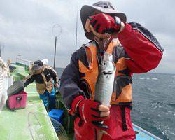 久里浜黒川本家 釣果