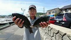 まこと渡船 釣果