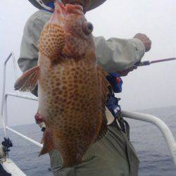 遊漁船 新鋭丸 釣果