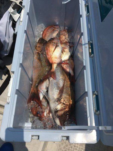 龍宮丸 釣果