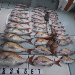 遊漁船 幸友丸 釣果