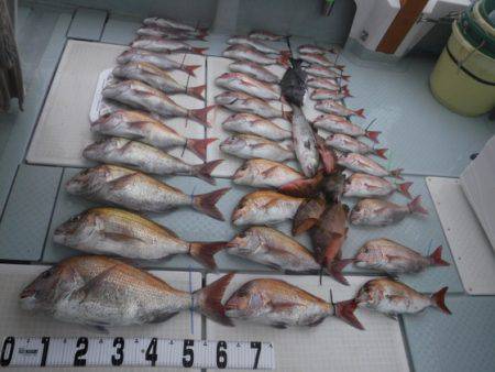 遊漁船 幸友丸 釣果