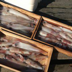 寿裕 （YOSHIHIRO） 釣果